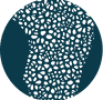 Dr. Alejandro Zoboli - Logo